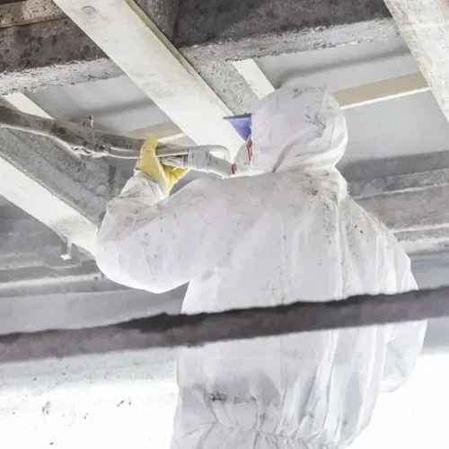 2-Alexander-von-Humboldt-Schule-1024x683