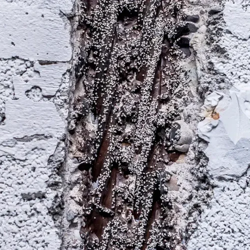 4-Kureck-Wiesbaden-1024x790