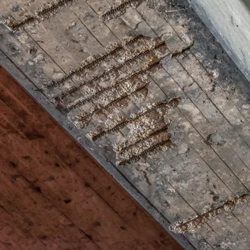 5-Instandsetzung-der-Brücke-BAB-A60-Mainz-Finthen-1024x684 (1)